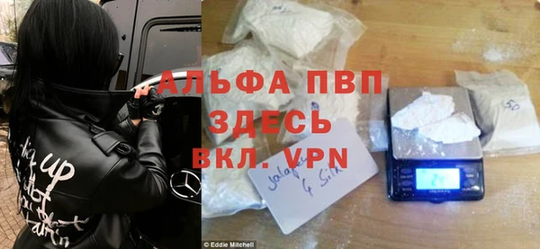 стаф Алзамай