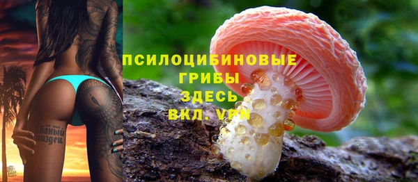 стаф Алзамай