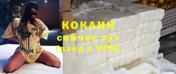 стаф Алзамай