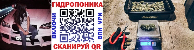 Бошки марихуана семена Новоульяновск